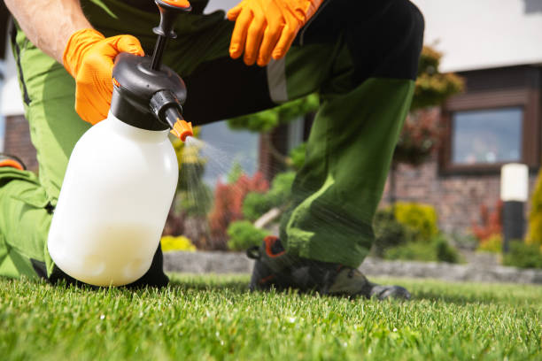 Best Affordable Pest Control Services  in Syracuse, NY