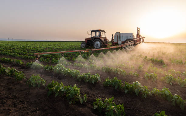 Best Commercial Pest Control Services  in Syracuse, NY