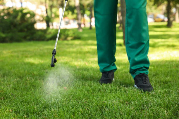Trusted Syracuse, NY Pest Control Experts