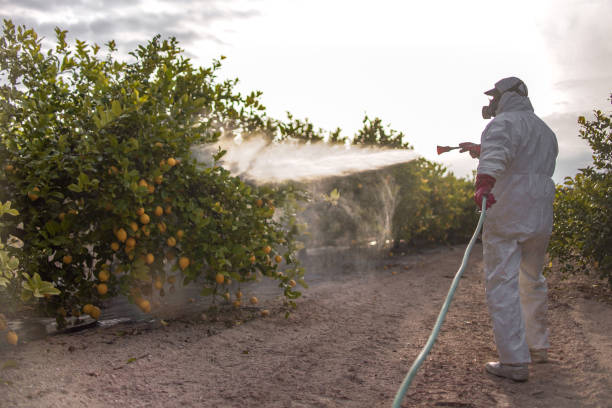 Best Commercial Pest Control Services  in Syracuse, NY
